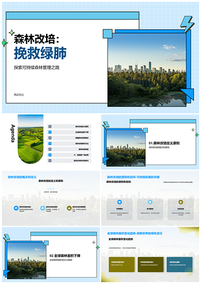 2025森林改培应用应对全球森林面积下降原因影响我国资源PPT模板