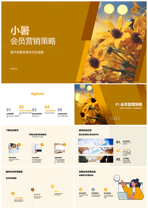 2025小暑会员营销策略提升忠诚活跃管理消费优惠互动PPT模板