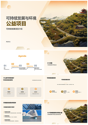 2025大学硕士环境公益项目可持续课件
