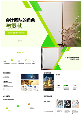 2025会计团队财务管理决策与风险控制PPT模板