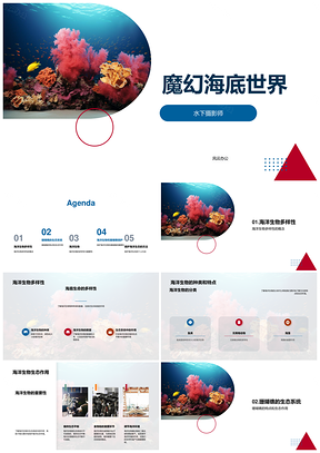 2025魔幻海底世界水下摄影师探秘珊瑚礁生态保护PPT模板