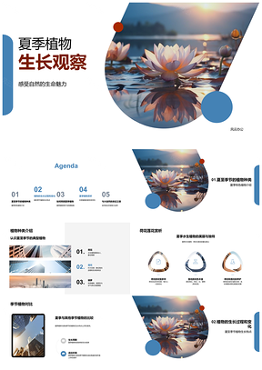 2025夏季荷莲赏析植物耐热保湿遮阳活动PPT模板