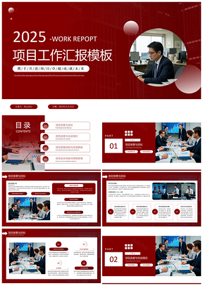 2025红色商务项目工作汇报总结模板