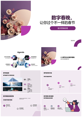 2025数字春晚融合传统春节文化营销策划PPT模板
