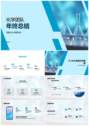 2025生物医疗化学团队年度质控成果与成员贡献总结PPT模板