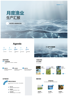 2025渔业月度生产策略调整与海况适应分析PPT模板