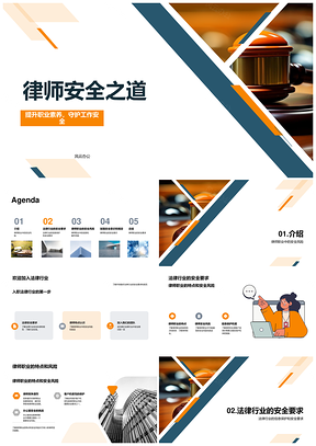 2025律师职业安全培训规范与风险PPT模板