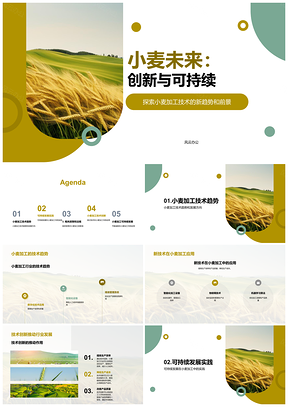 2025小麦加工技术创新驱动可持续农业发展PPT模板