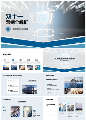 2025双十一营销策略解析用户行为竞品活动互动定价服务系统优化PPT模板