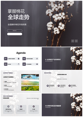 2025全球棉花种植产量与市场供需趋势分析PPT模板