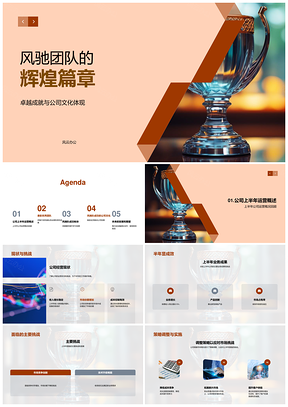 2025风驰团队保险金融风控协作荣膺卓越奖杯PPT模板