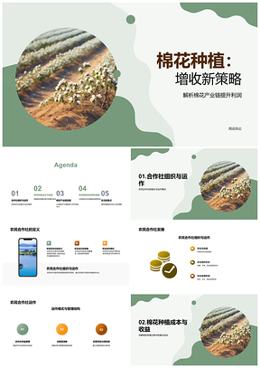2025棉花种植合作社助农增收新模式PPT模板