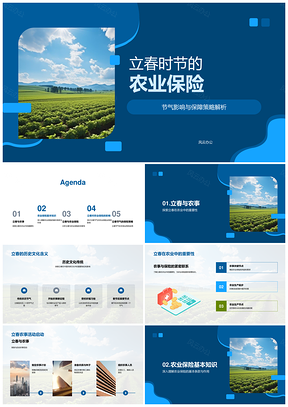 2025立春时节稻田农业保险PPT模板
