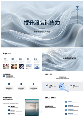 2025服装销售策略客户沟通流程案例精准说服PPT模板