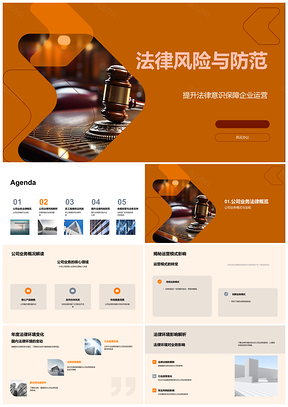 2025企业合规经营法律风险防控实践PPT模板
