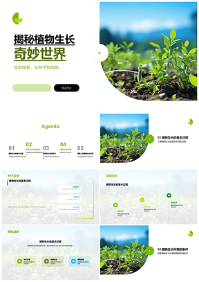 2025探索植物生长发芽幼苗成熟所需温光水养PPT模板