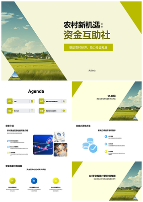 2025农村资金互助社经济社发成就影响力评估PPT模板