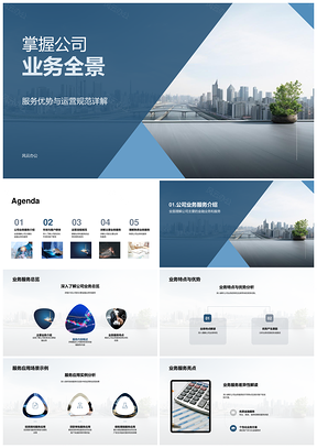 2025公司业务全景服务优势运营规范金融业务应用场景目标市场客户需求PPT模板
