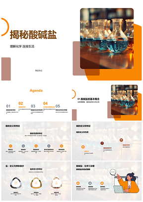 2025高中化学酸碱盐性质应用教学课件