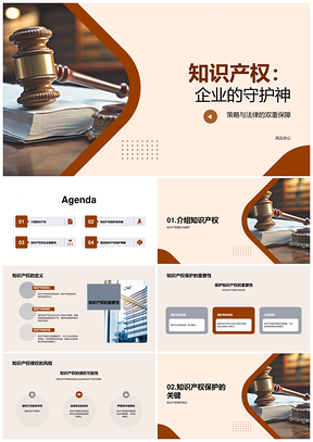 2025知识产权律师护企策略避侵权风险PPT模板