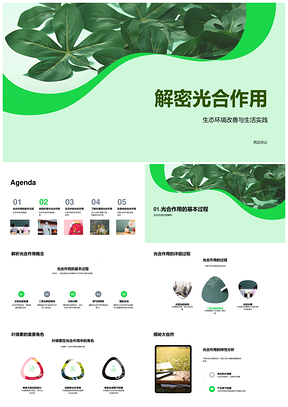 2025光合作用教育助力生态气候食物生产改善PPT模板