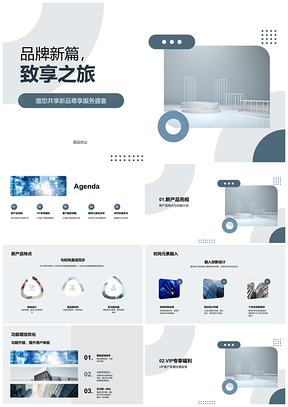 品牌新篇VIP客户新品时尚优惠服务优化PPT模板