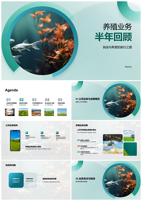 2025鱼缸养殖半年成果挑战策略回顾PPT模板
