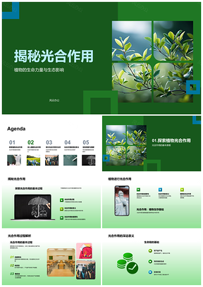 2025植物光合作用阳光水二氧化碳产氧糖生态影响PPT模板