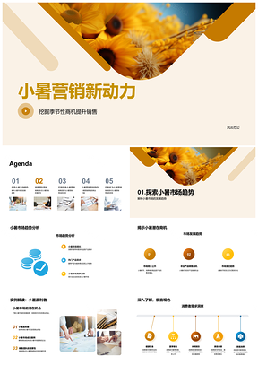 2025小暑营销新动力驱动销售团队把握季节性商机PPT模板