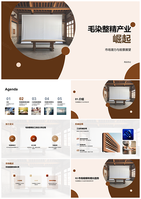 2025毛染整精加工技术创新驱动市场合作共赢PPT模板