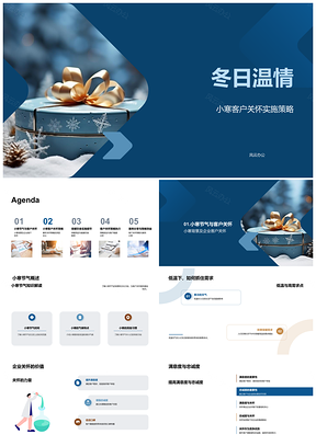 2025小寒客户数据暖策健康关怀提升忠诚PPT模板