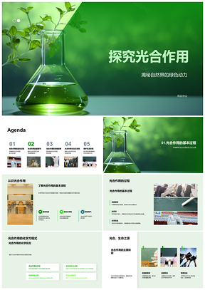 2025光合作用与气候变化生态系统生物依赖性PPT模板