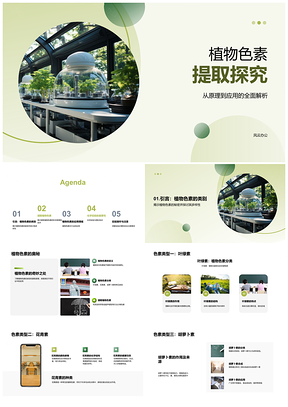 2025植物色素溶剂超声萃取技术食品应用PPT模板