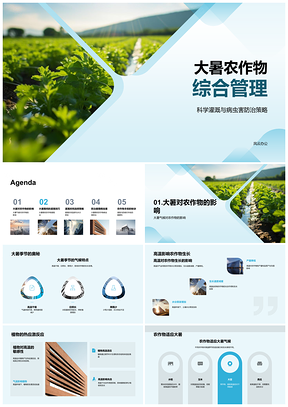 2025大暑农作物综合管理科学灌溉与病虫害防治PPT模板
