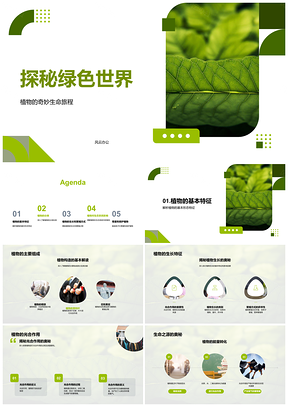 2025探秘绿色植物光合分类与森林PPT模板