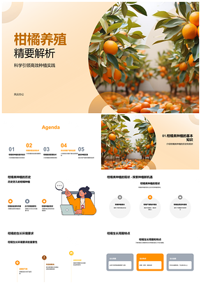 2025柑橘树选育栽培技术历史研究PPT模板
