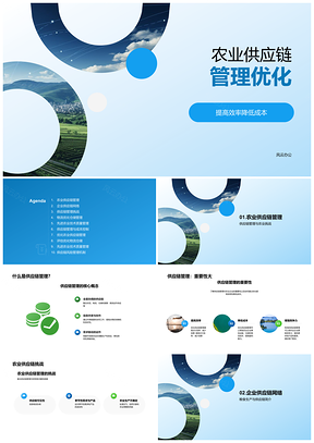 农业供应链网络效率成本管理优化PPT模板