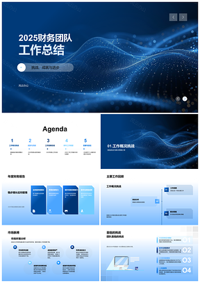 2025财务团队年度挑战成就策略合作经验总结PPT模板