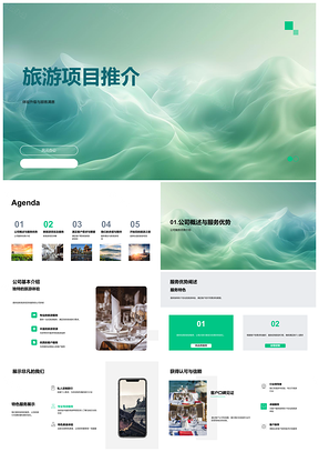 2025旅游项目推介升级体验满意服务优势新项目流程需求解析PPT模板