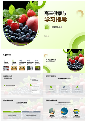 高三健康饮食与压力管理提升学习效率PPT模板