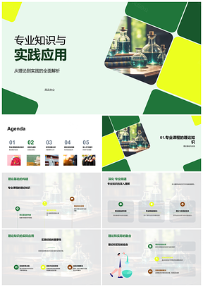 专业技能理论实践结合问题解决PPT模板
