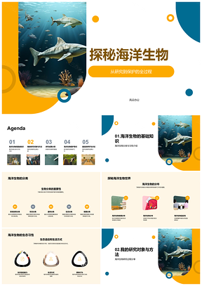 海洋生物研究保护与生态习性解析PPT模板