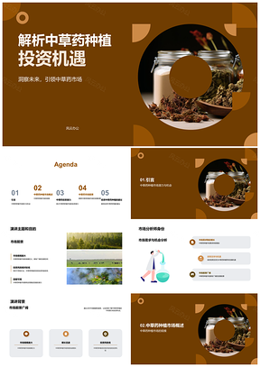 2025中草药种植市场趋势与投资前景分析PPT模板