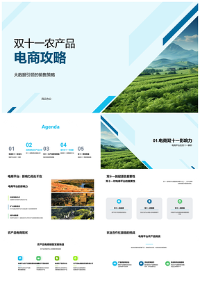 2025双十一农业合作社电商大数据销售策略攻略PPT模板