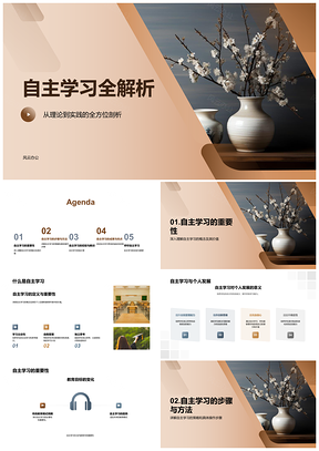 自主学习法个人发展教育环境策略案例PPT模板