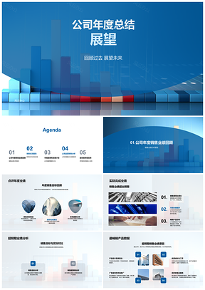 公司年度总结销售业绩财务状况市场前景发展计划品牌影响力PPT模板