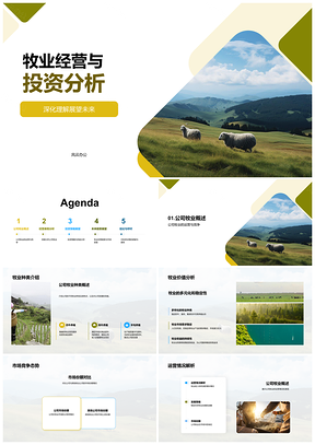 公司牧业经营投资策略及市场风险防控PPT模板