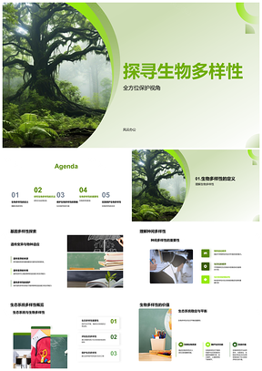 热带雨林生物多样性保护研究PPT模板