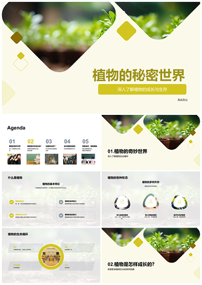植物生命循环与生长奥秘PPT模板