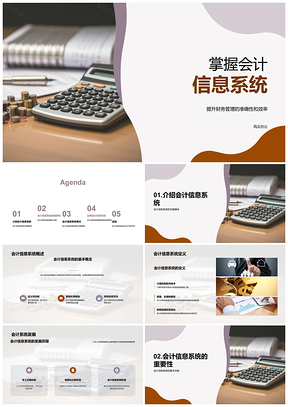会计信息系统应用确保财务信息准确及时可靠数据输入账本管理PPT模板
